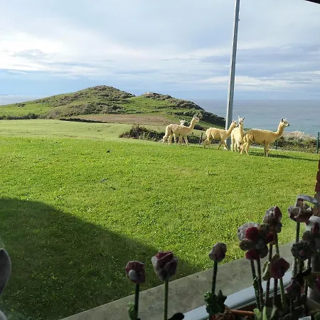 Gloria-patchwork-ubiarco *