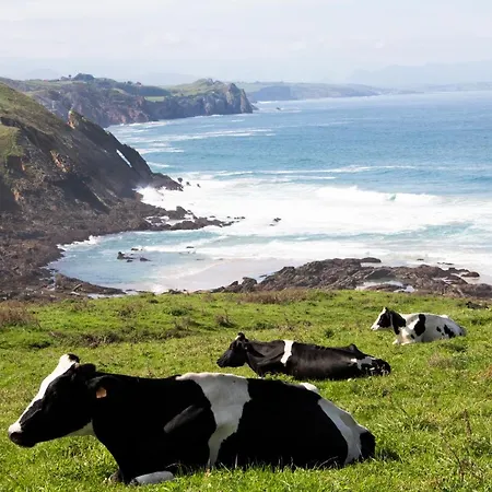 Appartement Gloria-patchwork-ubiarco Ubiarco