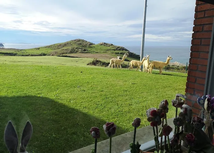 Gloria-patchwork-ubiarco *