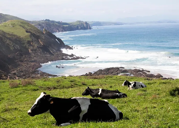 Apartment Gloria-patchwork-ubiarco Ubiarco