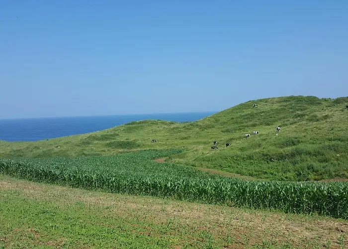 Gloria-patchwork-ubiarco