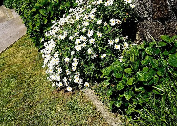 Gloria-patchwork-ubiarco Apartment Ubiarco