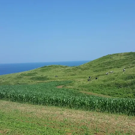 Gloria-patchwork-ubiarco