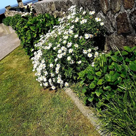 Gloria-patchwork-ubiarco 公寓 尤比雅克